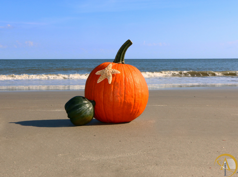 beach pumpkin