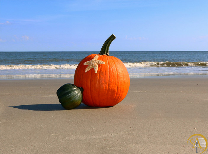 beach-pumpkin-resized