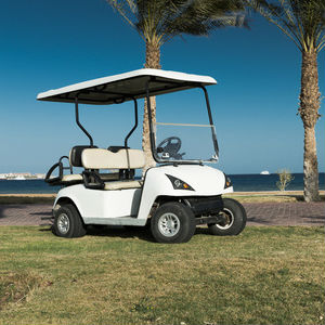 Golf Cart